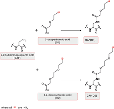 Synthetic Peptides and Peptidomimetics