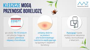 Borelioza może być diagnozowana na podstawie zmian narządowych, co jednak jest niezwykle trudne. Ministerstwo Zdrowia On Twitter Ukaszenie Kleszcza Moze Wywolac Borelioze Pierwsze Objawy Moga Pojawic Sie Po Okolo 10 14 Dniach Kazde Podejrzenie Zakazenia Nalezy Skonsultowac Z Lekarzem Wiecej Https T Co Tkwwi9qeaz Https