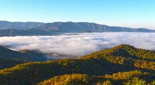 While choosing new car dealers in london on, check for the availability of your preferred car, and feel free to swap over to some other. Day Bros Rv Sales Center Pre Owned Rvs Financing Parts And Service In Corbin Ky Near