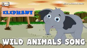 Wild Animals Song Zoo Animals For Children Elearnin Animals Wild Animals For Kids Animals