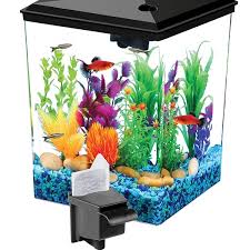 Up To 34 Off On Aqua Culture Aquarium Starter Groupon Goods