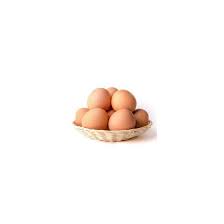 Se presentan protegidos por una cáscara y son ricos en proteínas (principalmente albúmina, que es la clara o parte blanca del huevo) y lípidos. Huevos Ecologicos 1 Docena