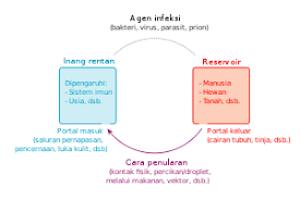 Manfaat serologi juga bisa digunakan untuk menelisik penyakit, seperti hepatitis b. Penularan Penyakit Wikipedia Bahasa Indonesia Ensiklopedia Bebas