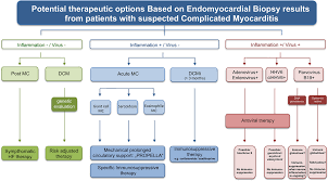 Image result for Myocarditis