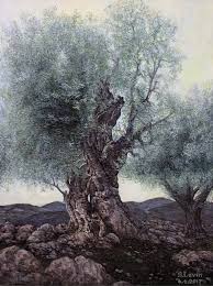 Olive Trees Painting Olive Tree Painting Tree Painting Oil Painting Trees