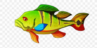 Learning how to fish under water grass is probably one of the most important techniques to fishing for bass, but also the hardest to learn. Peacock Bass Drawing Art Clip Art Png 2728x1359px Peacock Bass Animal Animal Figure Art Bass Download