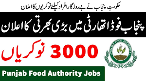 Image result for Punjab Food Authority Jobs 2019
