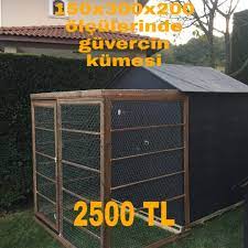 guvercin kumesi kumes evler istanbul