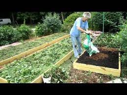 Blackberries can grow 8 feet tall and spread even wider. Raised Strawberry Beds Finished Wisconsin Garden Video Blog 174 Avi Youtube
