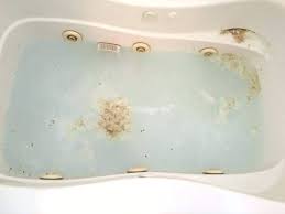 We did not find results for: Great Way To Remove Those Moldy Hard Water Stains From A Jetted Bathtub Cleaninginstructor Com