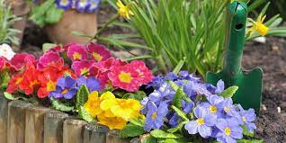 Pin Pa Gardening