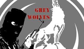 Image result for Turkish Grey Wolves