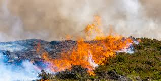 Warmer spring and summer temperatures, reduced snowpack, and earlier spring snowmelt create longer and more intense dry seasons that increase moisture stress on vegetation and make forests more susceptible to severe wildfire. Ibm Responds To California Fires Good Tech Ibm
