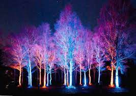 Landscape Lighting Hardwired The Wheat Landscape Gardening And Design Considering Landscape Gard Landscape Lighting Design Landscape Lighting Exterior Lighting