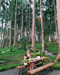 Objek wisata baturraden termasuk objek wisata yang cukup komplet. Tempat Wisata Di Purwokerto Terbaru Dan Paling Hits Blog Unik