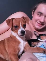 Carroll County,GA Lost and Found Pets