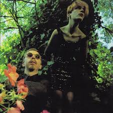 Maybe you would like to learn more about one of these? History Eurythmics Video Visionaries