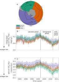 southern ocean carbon sink