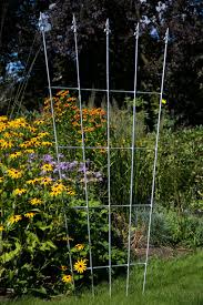 Victoria Verzinkt Rankgitter Gitter Victoria