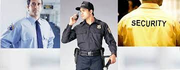 Eagle Protective Group Offers A Variety Of Close Protection Services To Guarantee The Personal Sec Security Guard Services Business Person Security Solutions