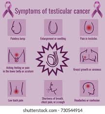 Testicular cancer is cancer that develops in the testicles, a part of the male reproductive system. Testicular Cancer Symptoms Infographics Stock Vector Royalty Free 730544914