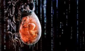 De ce să foloseşti brainly? Sinuciderea Dreptul De A RenunÈ›a