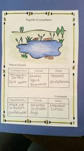 10 Ecosystem Project Ideas The Owl Teacher Ecosystems Projects Elementary Science Activities Elementary Science