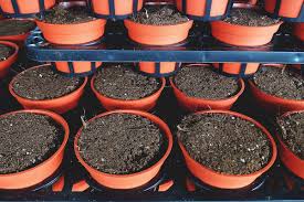 We did not find results for: When And How To Use Humic Acid Fertilizer To Improve Soil