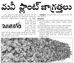 Marathi names share many elements with those of other major languages in india, which is largely due to religious influences. Telugu Web World Money Plant Growing Tips In Telugu