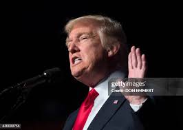 57 Don Hershey Stock Photos, High-Res Pictures, and Images