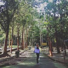 We did not find results for: 6 Unknown Malaysian Recreational Parks