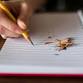 Flash Writing Sessions event image