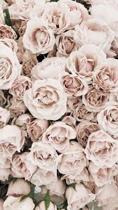 These 125 flower iphone wallpapers are free to download for your iphone 11. Flower Wallpaper Iphone