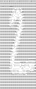 华东师范大学计算机科学技术系实验报告