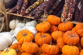 Weaver's orchard farm market is nestled in the scenic hills of berks county, just 15 minutes south of reading, pa. Where To Find A Pumpkin Patch And Fall Fun Near Philadelphia