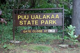Check spelling or type a new query. Honolulu Wanderung Zu Den Manoa Falls Der Tantalus Lookout Usa