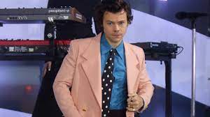 Christina nadin x harry styles. Harry Styles Tour 2021 Verschoben