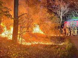 Brand in bosgebied in Nunspeet