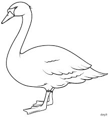 coloriage un cygne dessin a colorier halloween pour les tout-petits youtube