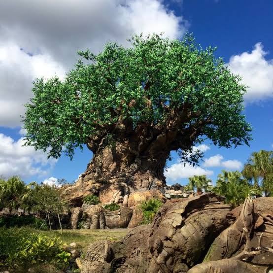 Mga resulta ng larawan para sa Tree Of Life at Disney’s Animal Kingdom"