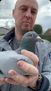 Auction preparations Dirk Van Dyck