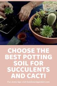 Best Potting Soil For Succulents And Cacti In 2020 Potting Soil For Succulents Potting Soil Planting Succulents