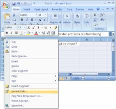 Microsoft word is the document editor that you can take with you on the go. Ms Excel 2007 Protect A Cell