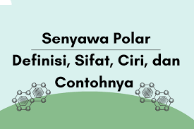 Rupa positif dan rupa negatif. Senyawa Polar Definisi Sifat Ciri Dan Contohnya