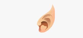 Feb 14, 2022 · tolkien fans know that hobbits never played a major role in world events until a certain quartet were forced to do their part to destroy the one ring, but the rings of power may have found a way. Elf Ears Png Download Elf Ears Png Transparent Png Transparent Png Image Pngitem