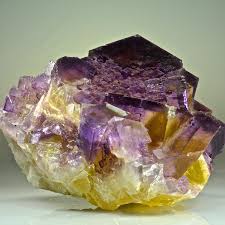 Buy Fossils Crystals And Gemstones For Sale Fossils For Sale Fossil Dealers Fluorite Natural Histo Rocks And Minerals Crystals Crystals And Gemstones