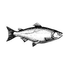 Un Nouveau Resto Comptoir De Poissons Et Fruits De Mer Ouvrira Bientot Dans Le Mile End Nightlife Night Life