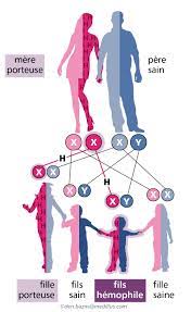 Maladie grave d'origine génétique, l'hémophilie correspond à l'impossibilité pour le sang de coaguler. L Hemophilie Mhemo Mhemo