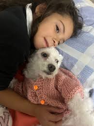 UY-Animales La Blanqueada y La Unión/perdidos/encontrados/en adopción