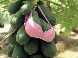 Gambar gambar aneh gambar pelik dan ane. Gambar Gambar Konyol Dan Lucu Berita Unik Dan Aneh Smeshno Zabavnosti Kartinki